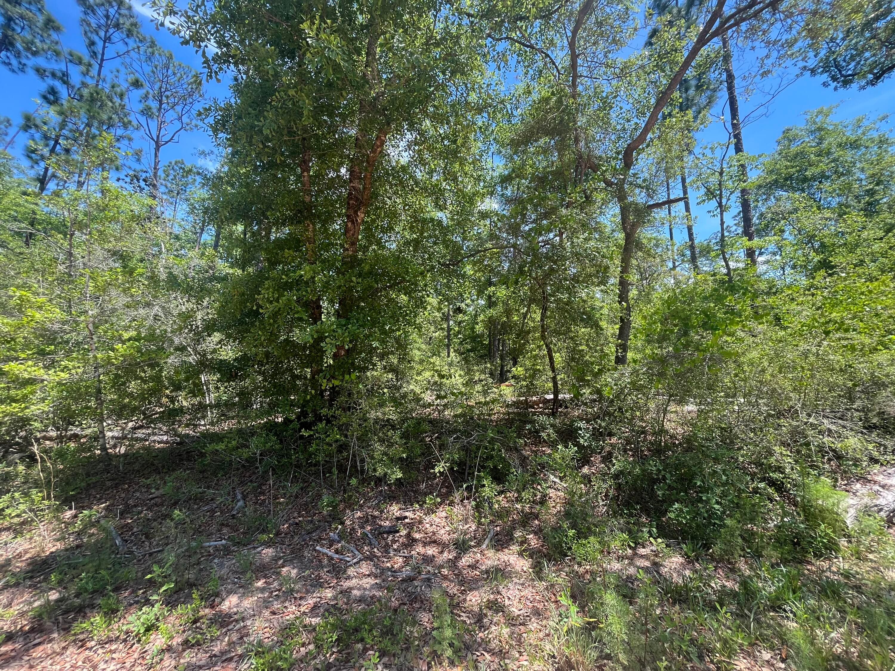 Tbd Tamarac Road, Marianna, FL 32448 8