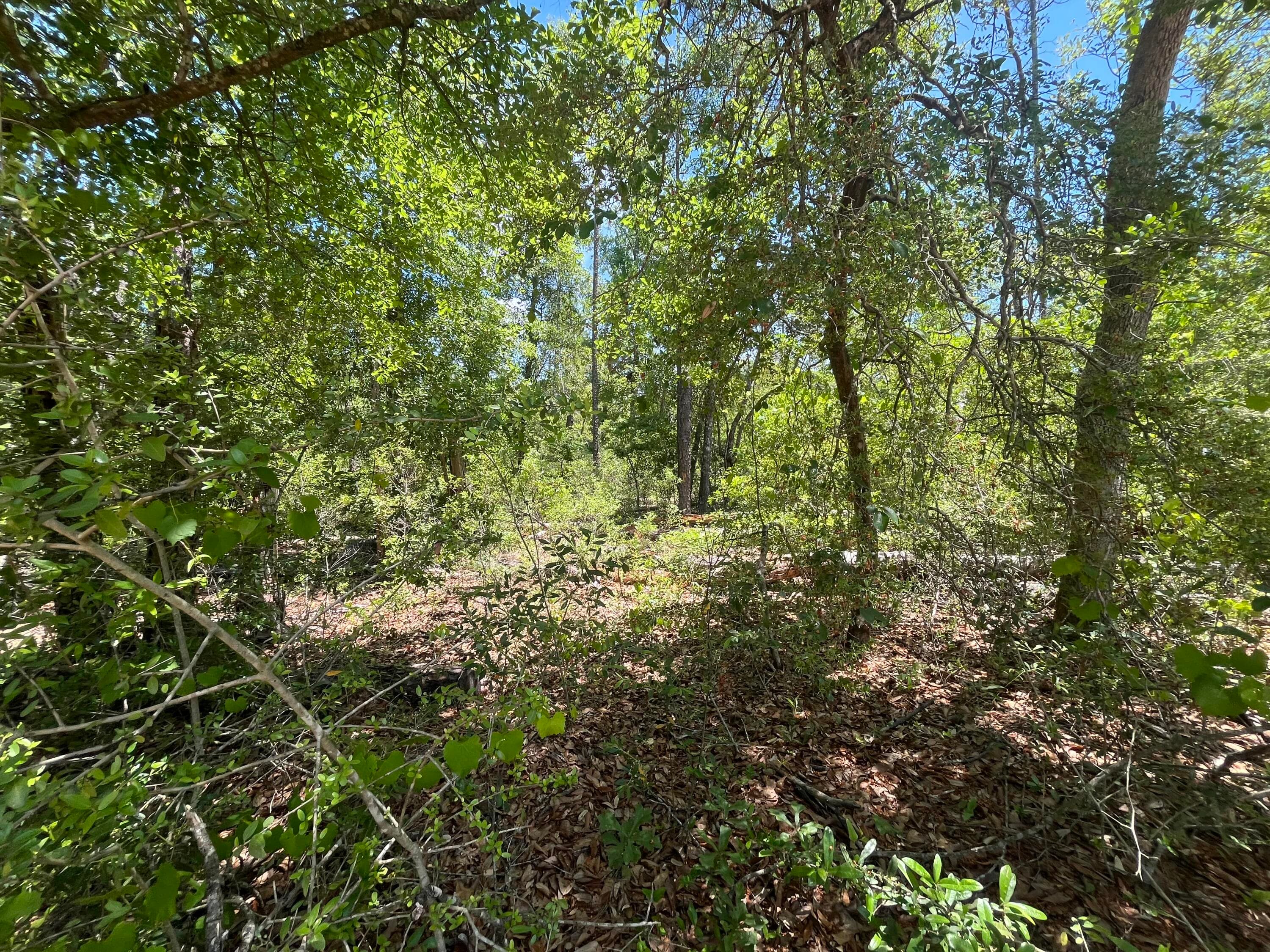 Tbd Tamarac Road, Marianna, FL 32448 9