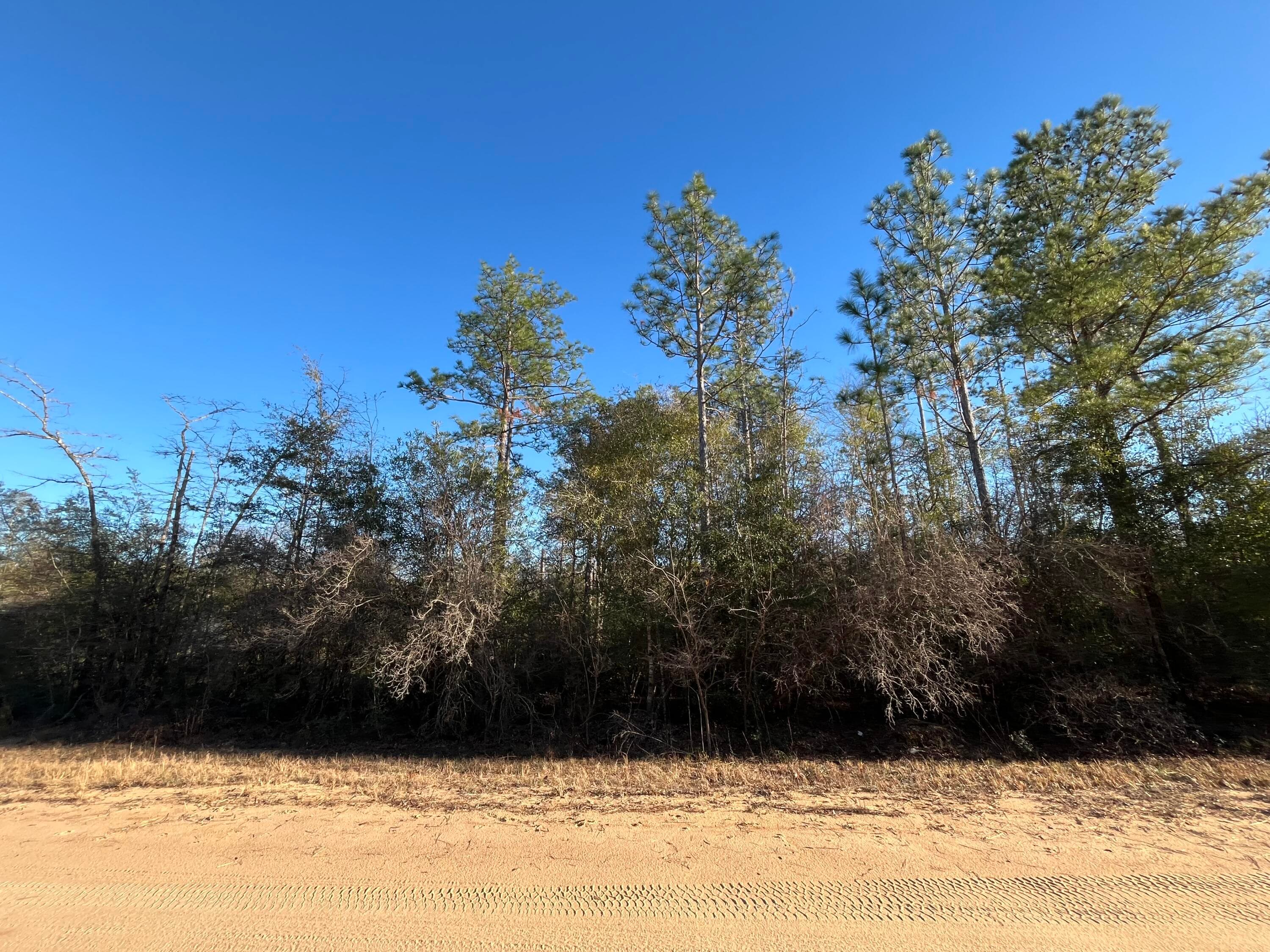 Tbd Goreville, Alford, FL 32420 3