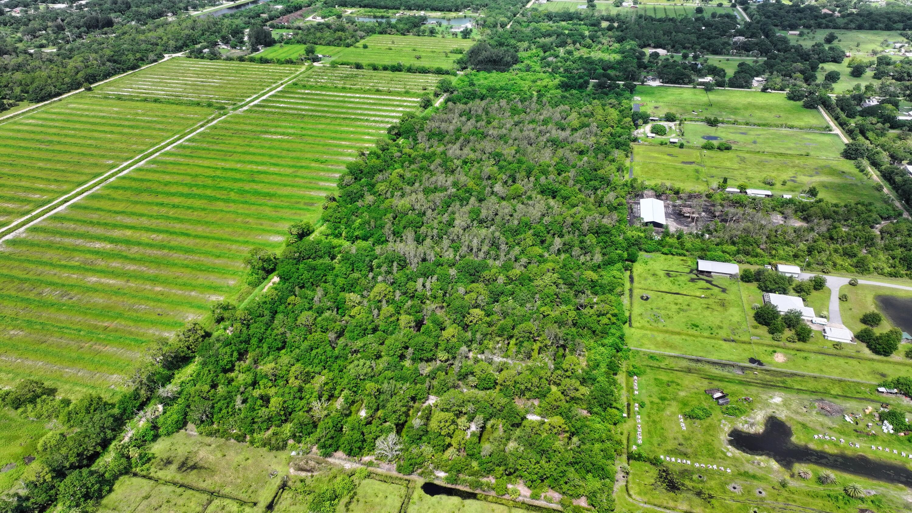 13420 101st Street, Fellsmere, FL 32948 2