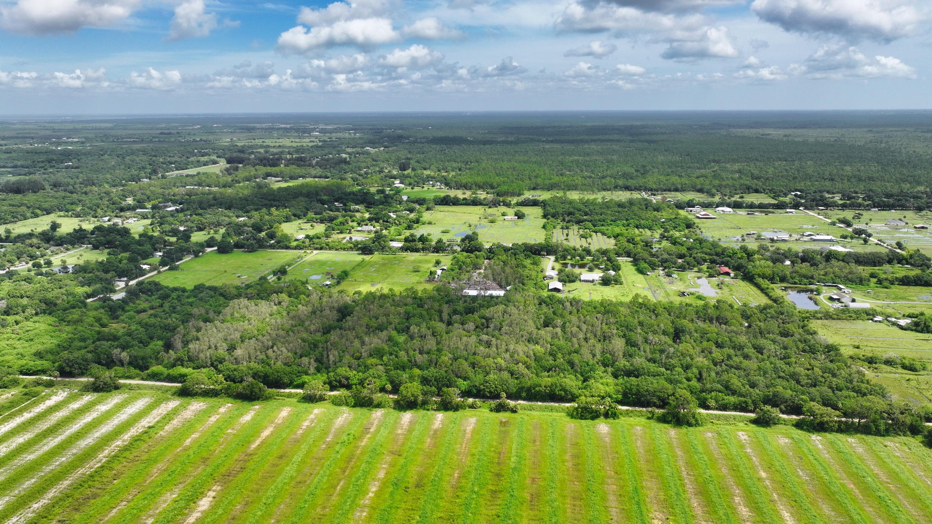 13420 101st Street, Fellsmere, FL 32948 7
