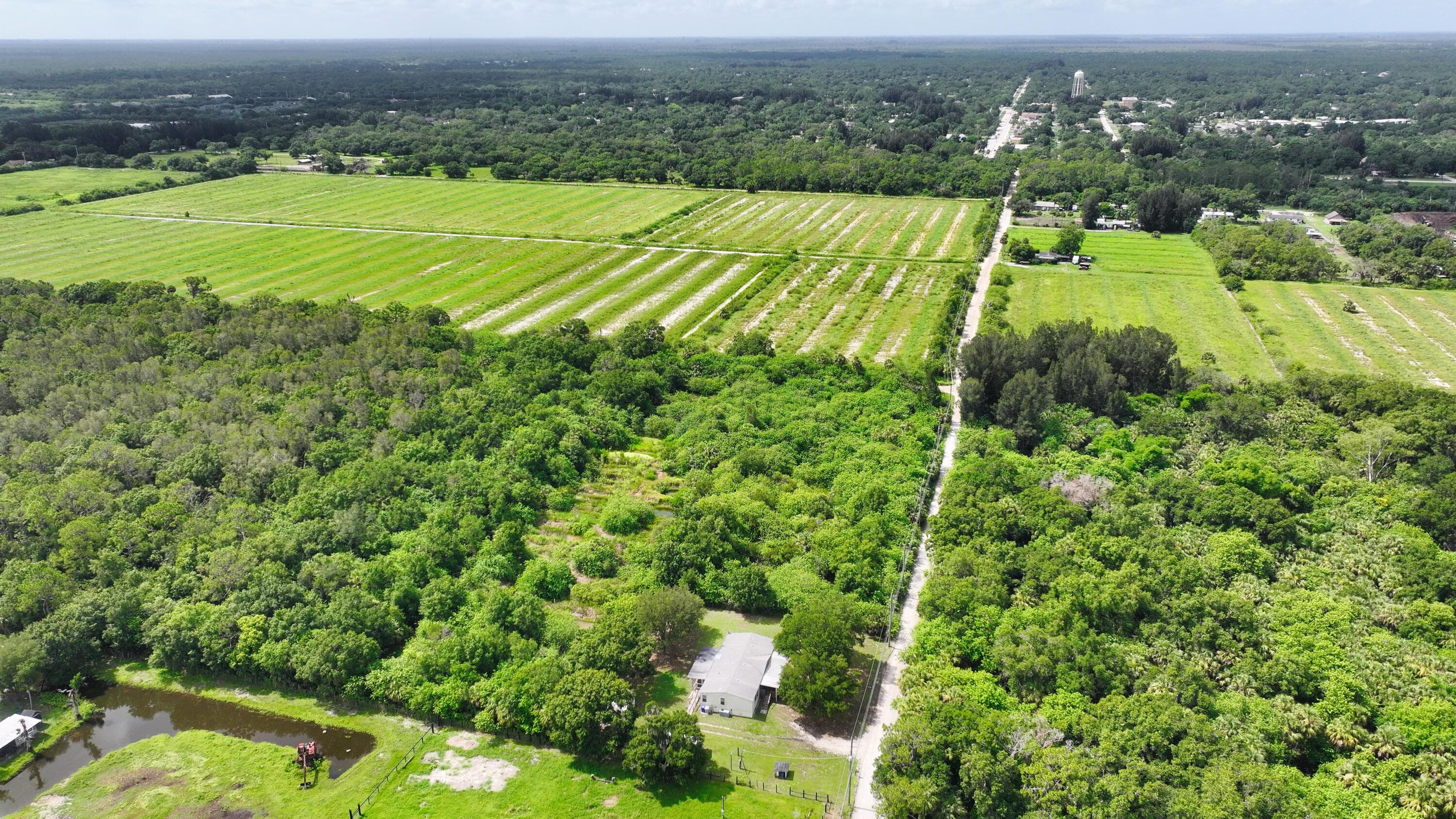 13420 101st Street, Fellsmere, FL 32948 14