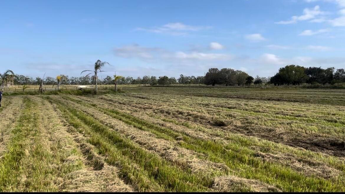 1503 S Header Canal Road, Fort Pierce, FL 34945 2