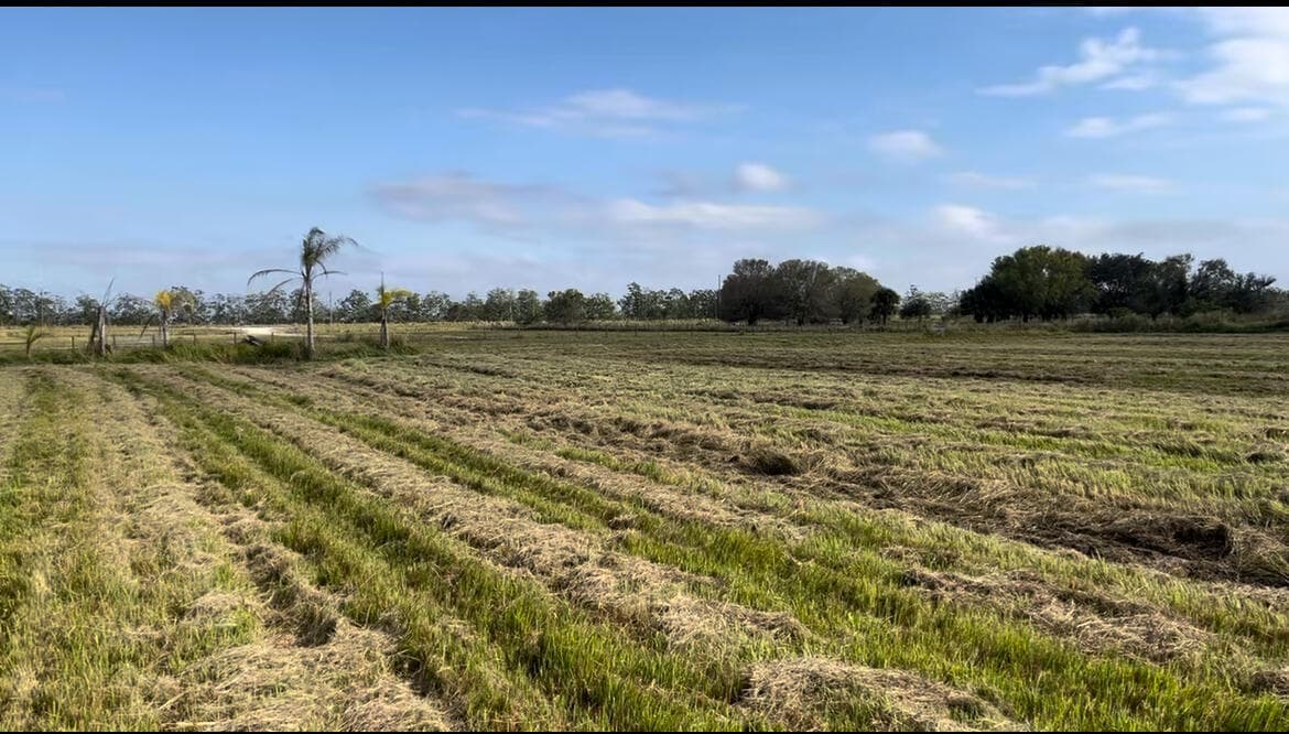 1503 S Header Canal Road, Fort Pierce, FL 34945 3