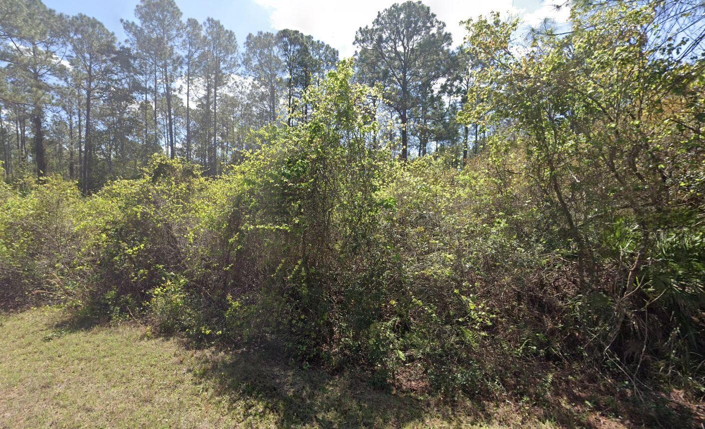 337 Palm Way, Georgetown, FL 32139 6