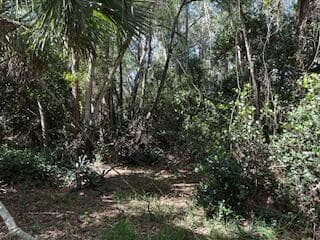 000 129th Avenue N, Royal Palm Beach, FL 33411 3