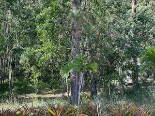 000 129th Avenue N, Royal Palm Beach, FL 33411 7