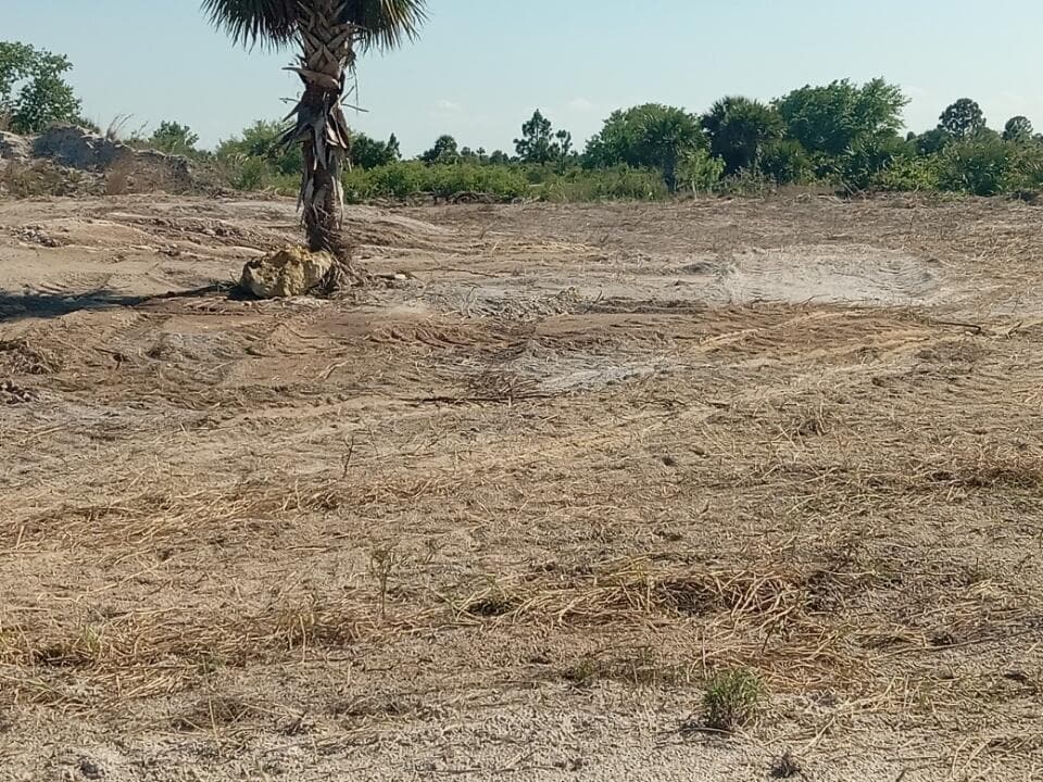 16058 NW 290th Street, Okeechobee, FL 34972 13