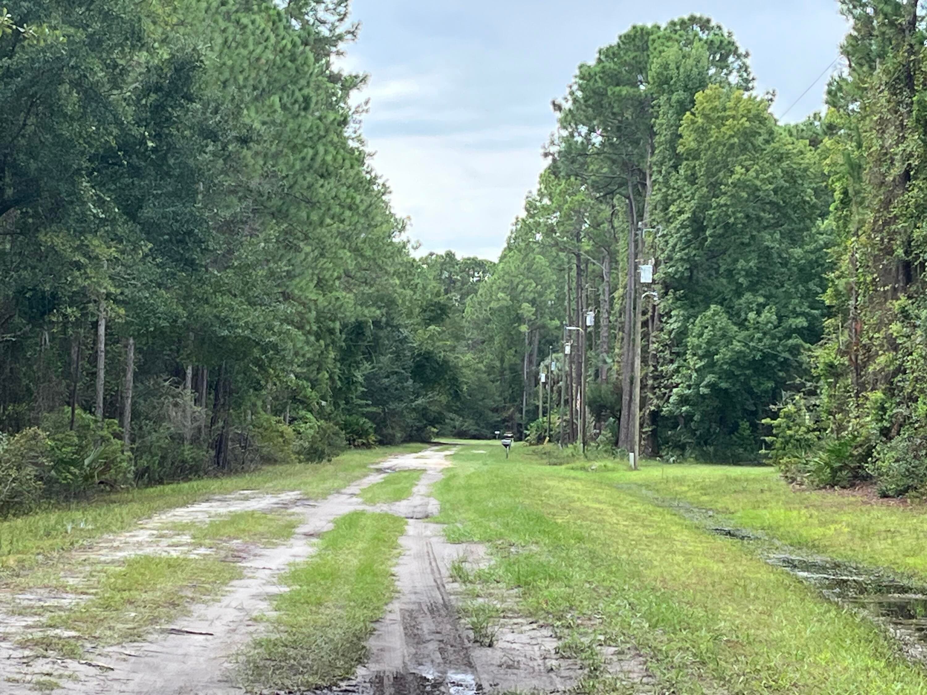 117 Mosswood Street, Georgetown, FL 32139 3