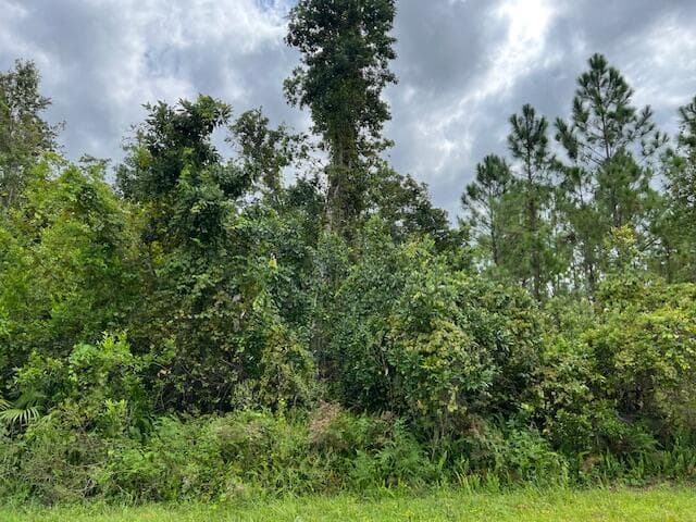 1123 Greenfield Street, Lake Placid, FL 33852 7