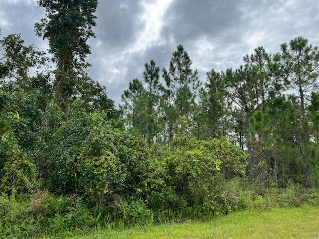 1123 Greenfield Street, Lake Placid, FL 33852 9