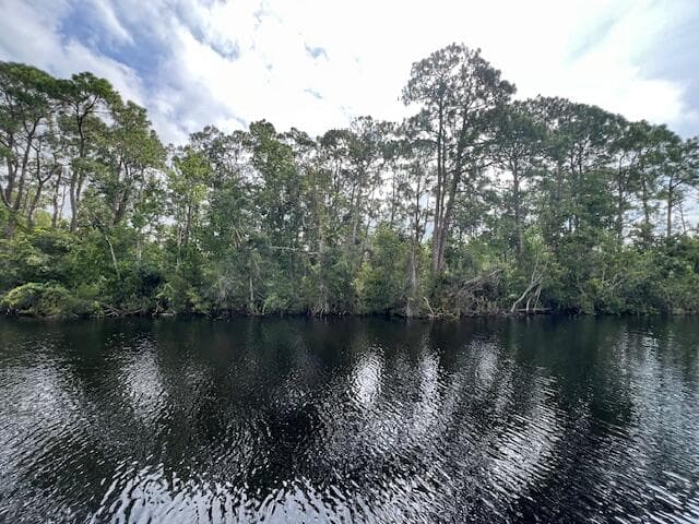 1123 Greenfield Street, Lake Placid, FL 33852 3