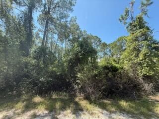 337 Palm Way, Georgetown, FL 32139 3
