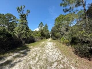 337 Palm Way, Georgetown, FL 32139 5