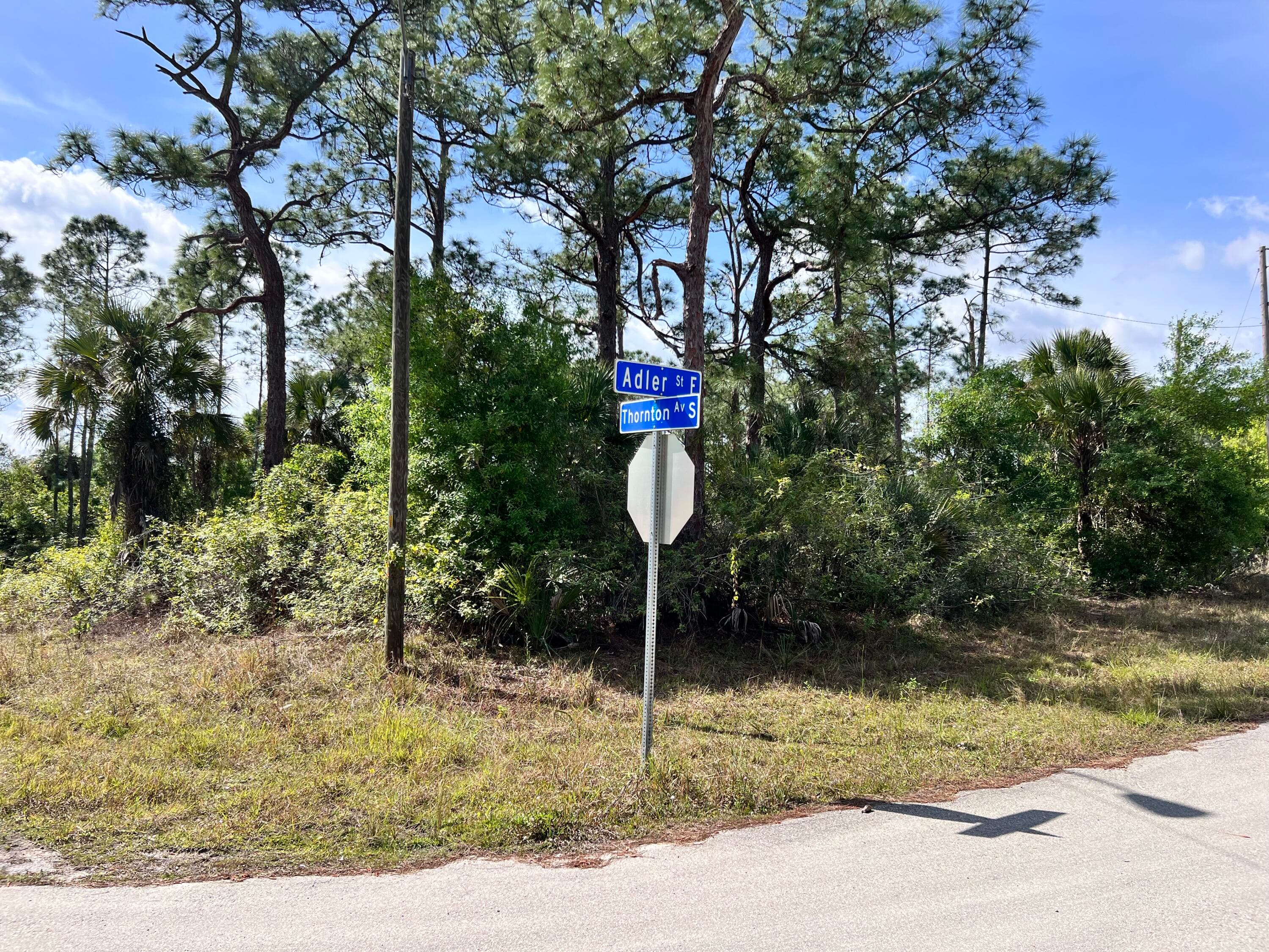 860 Adler Street E, Lehigh Acres, FL 33974 2