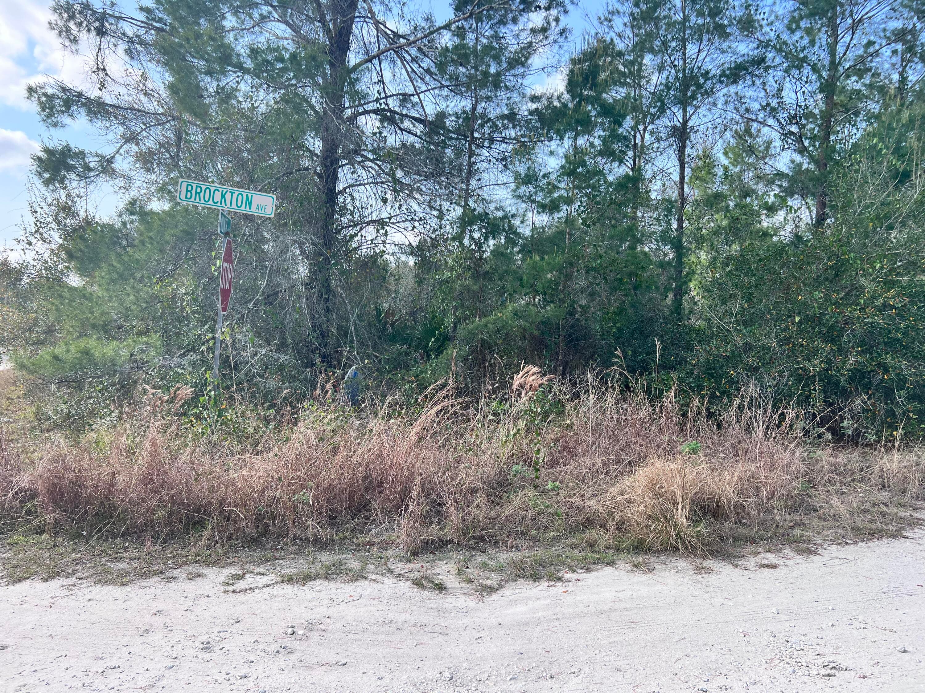 4847 Brockton Avenue, Sebring, FL 33875