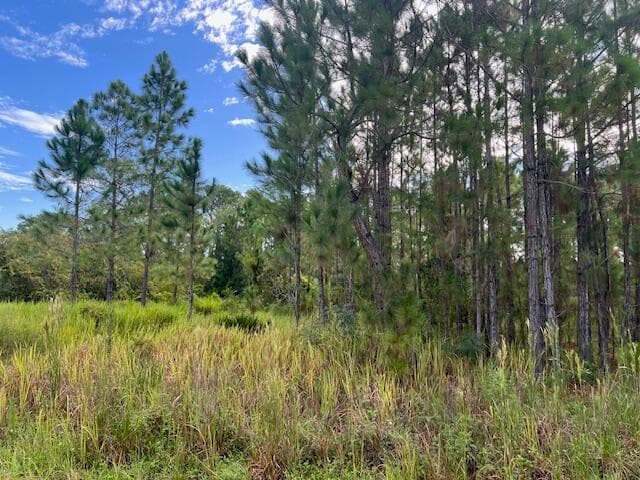 1137 Greenfield Street, Lake Placid, FL 33852 9