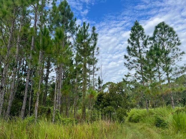 1135 Greenfield Street, Lake Placid, FL 33852 7