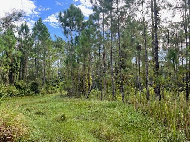 1135 Greenfield Street, Lake Placid, FL 33852 9
