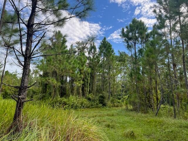 1135 Greenfield Street, Lake Placid, FL 33852 10