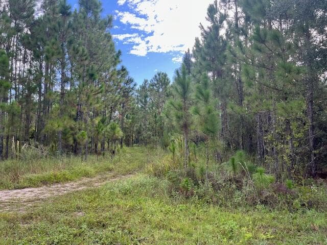 1135 Greenfield Street, Lake Placid, FL 33852 2