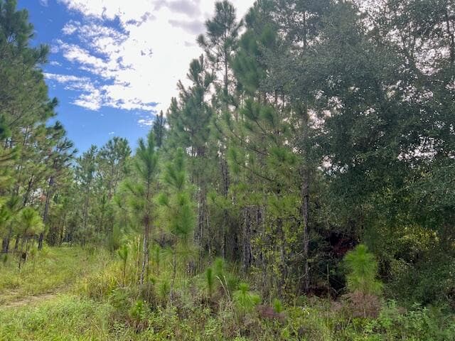 1135 Greenfield Street, Lake Placid, FL 33852 12