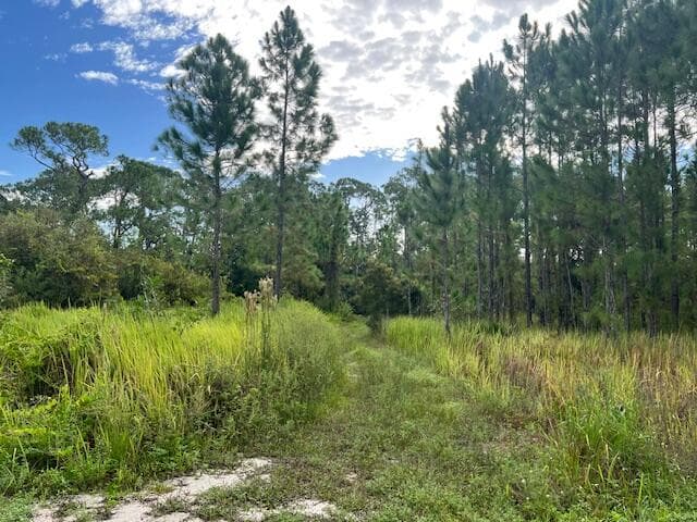 1135 Greenfield Street, Lake Placid, FL 33852 14