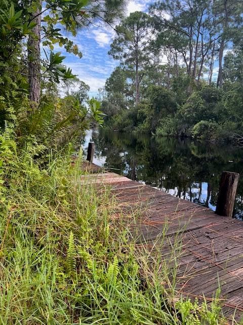 1135 Greenfield Street, Lake Placid, FL 33852 5