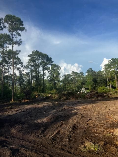 2018 Canton Avenue, Alva, FL 33920