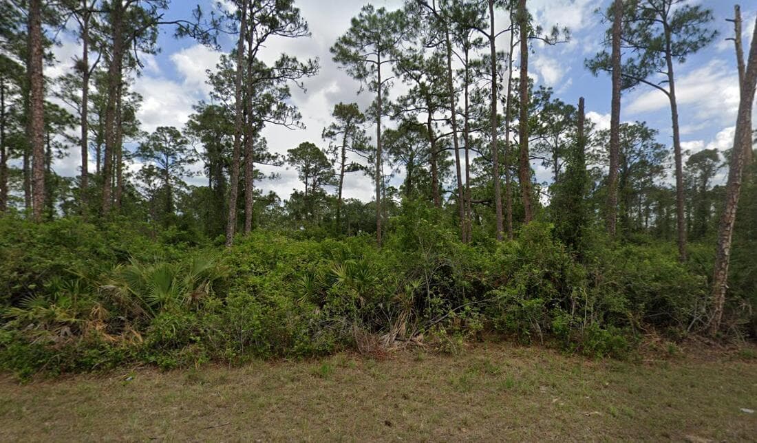 2018 Canton Avenue, Alva, FL 33920 2