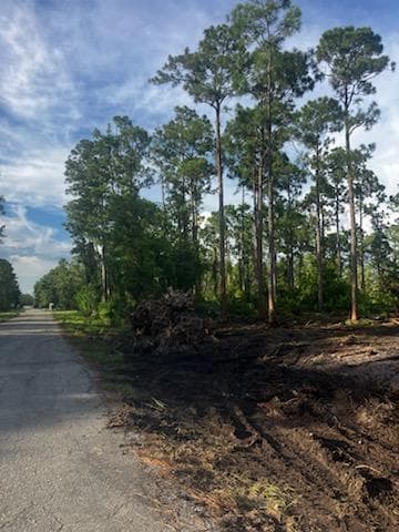 2018 Canton Avenue, Alva, FL 33920 5