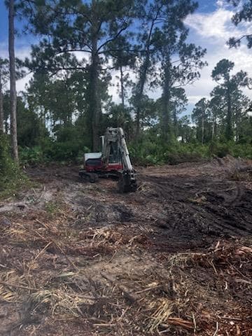 2018 Canton Avenue, Alva, FL 33920 7