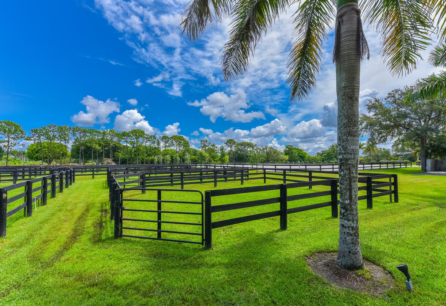 2780 Skipiks Way, Wellington, FL 33470 26