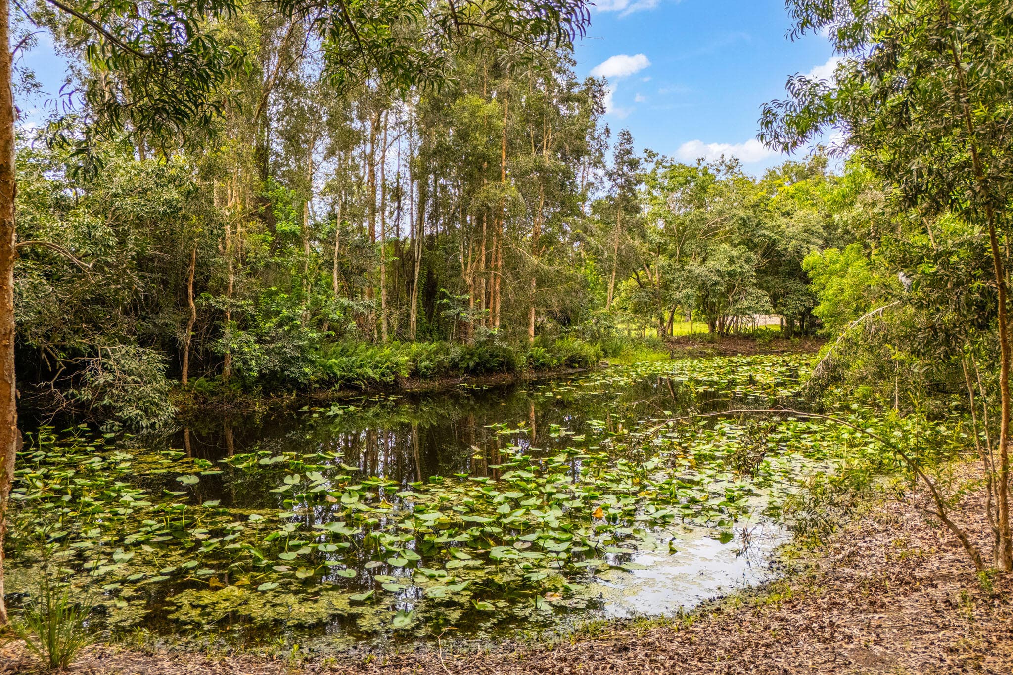 15884 North Road, Loxahatchee Groves, FL 33470 32