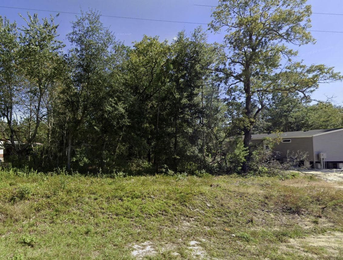 Tbd Dawn Avenue, Interlachen, FL 32148 3