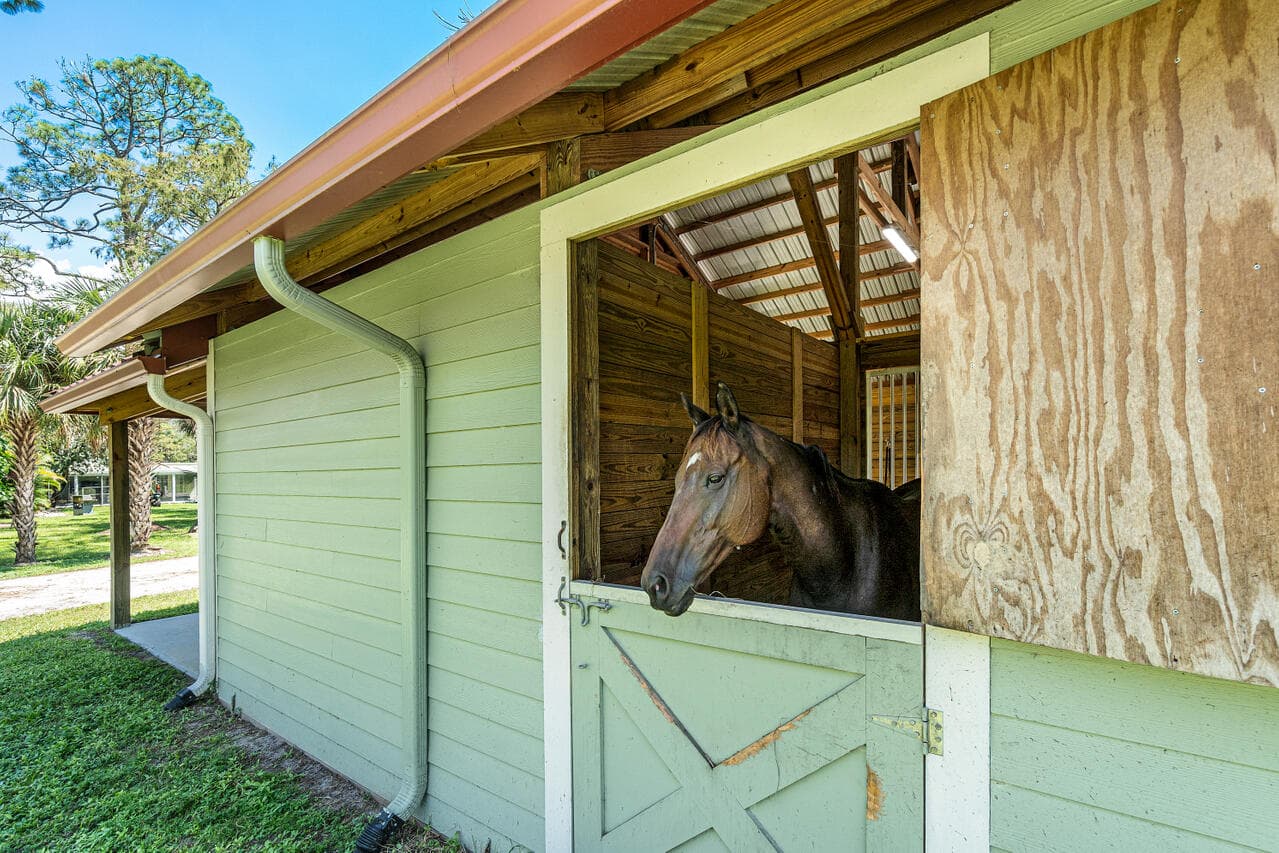 1835 Stallion Drive Stalls, Loxahatchee, FL 33470 24