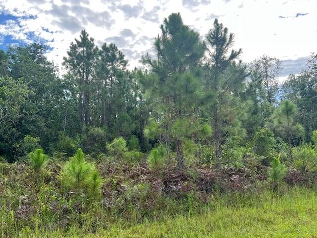 1131 Greenfield Street, Lake Placid, FL 33852