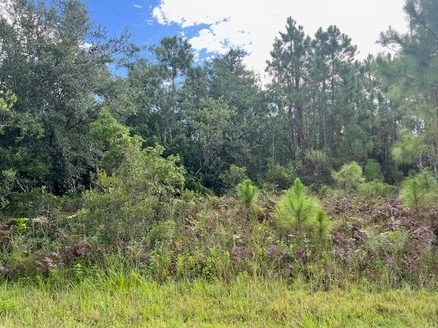 1131 Greenfield Street, Lake Placid, FL 33852 8