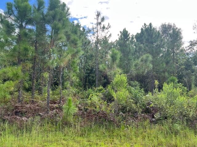 1131 Greenfield Street, Lake Placid, FL 33852 9