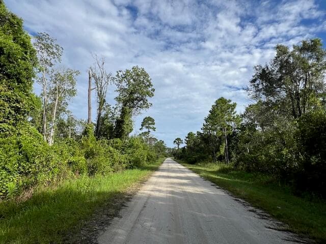 1131 Greenfield Street, Lake Placid, FL 33852 4