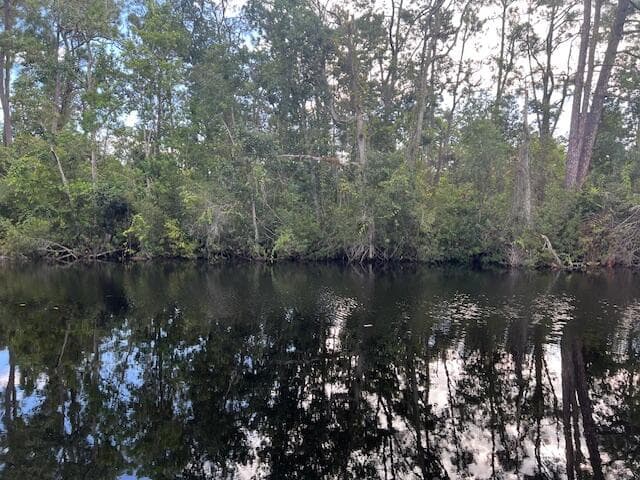 1131 Greenfield Street, Lake Placid, FL 33852 2