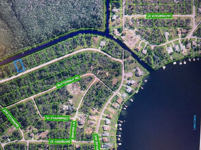 1131 Greenfield Street, Lake Placid, FL 33852 3