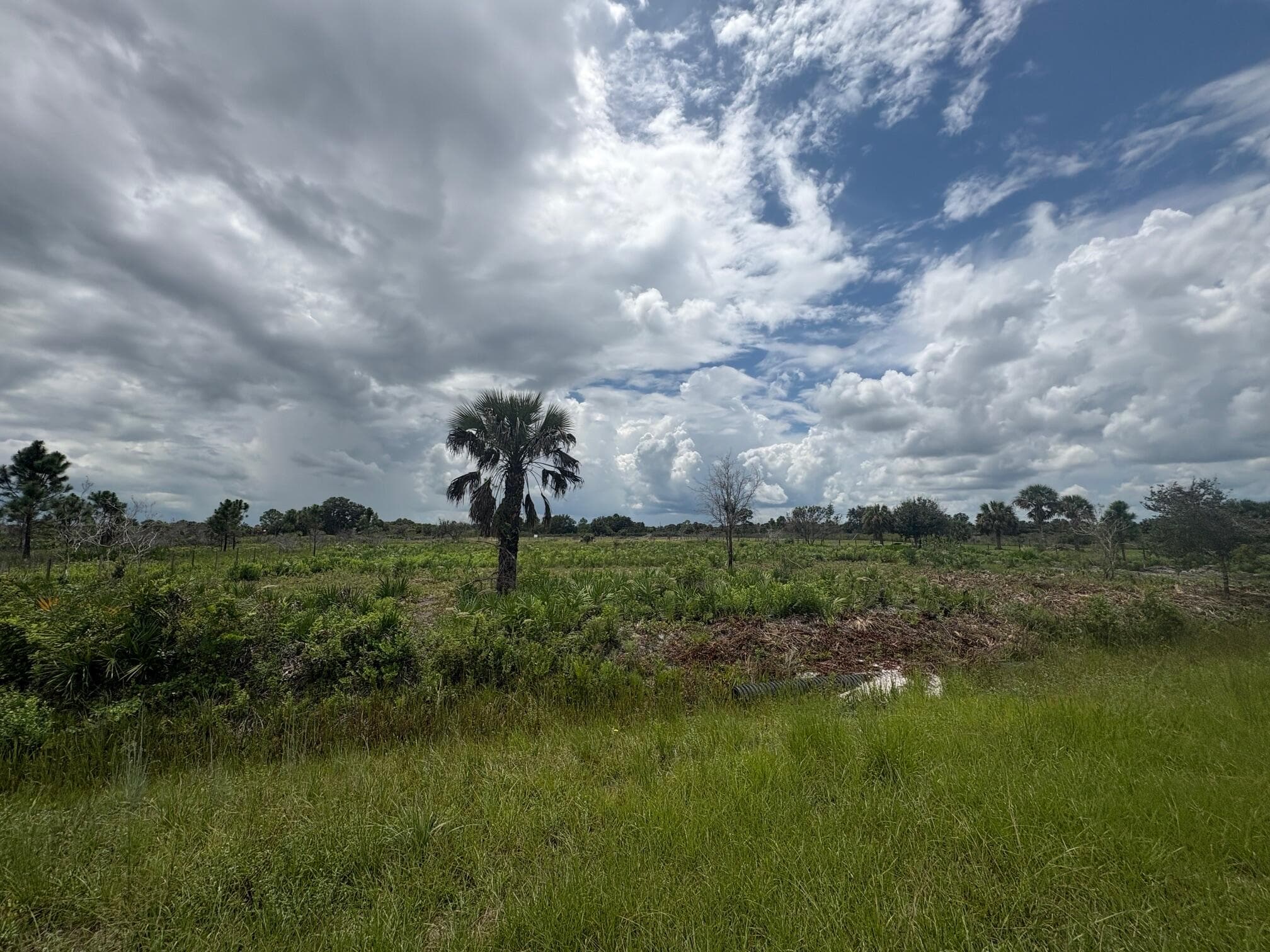 17982 NW 318th Street, Okeechobee, FL 34972 5