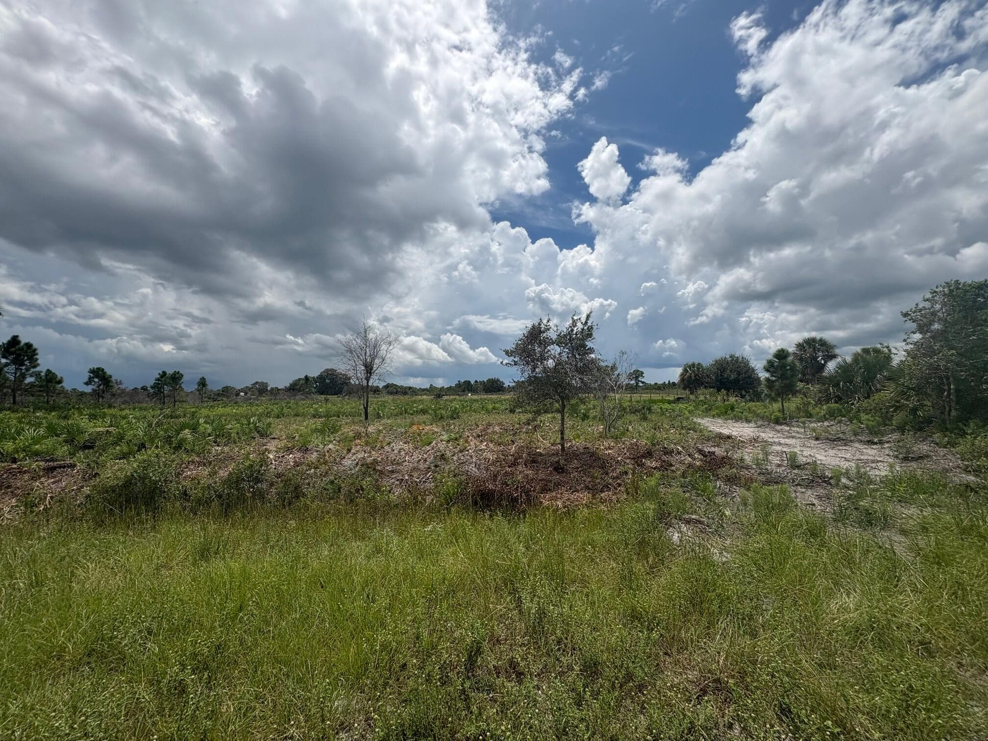 17982 NW 318th Street, Okeechobee, FL 34972 8