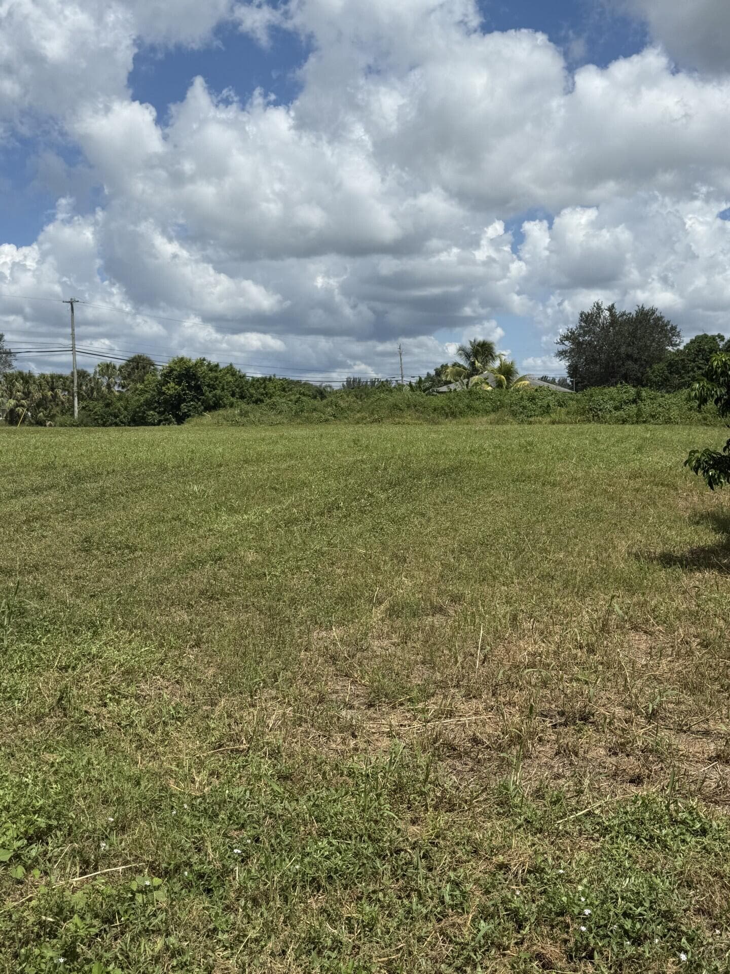 0 0 Mandarin Boulevard, The Acreage, FL 33470 3