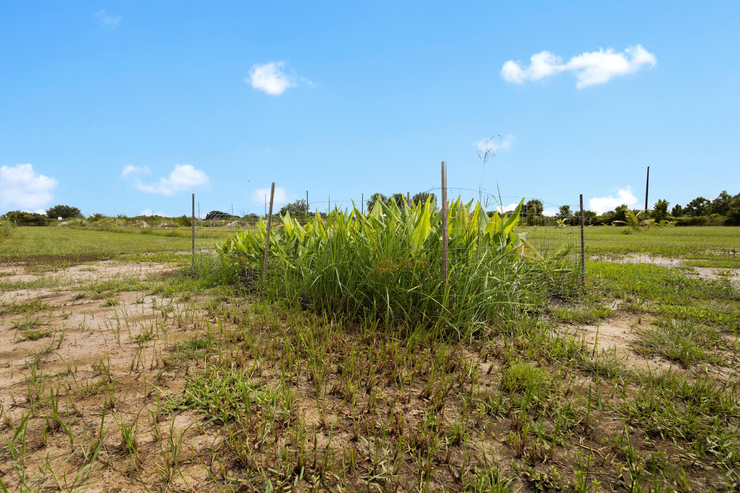 20914 NW 280th Street, Okeechobee, FL 34972 9