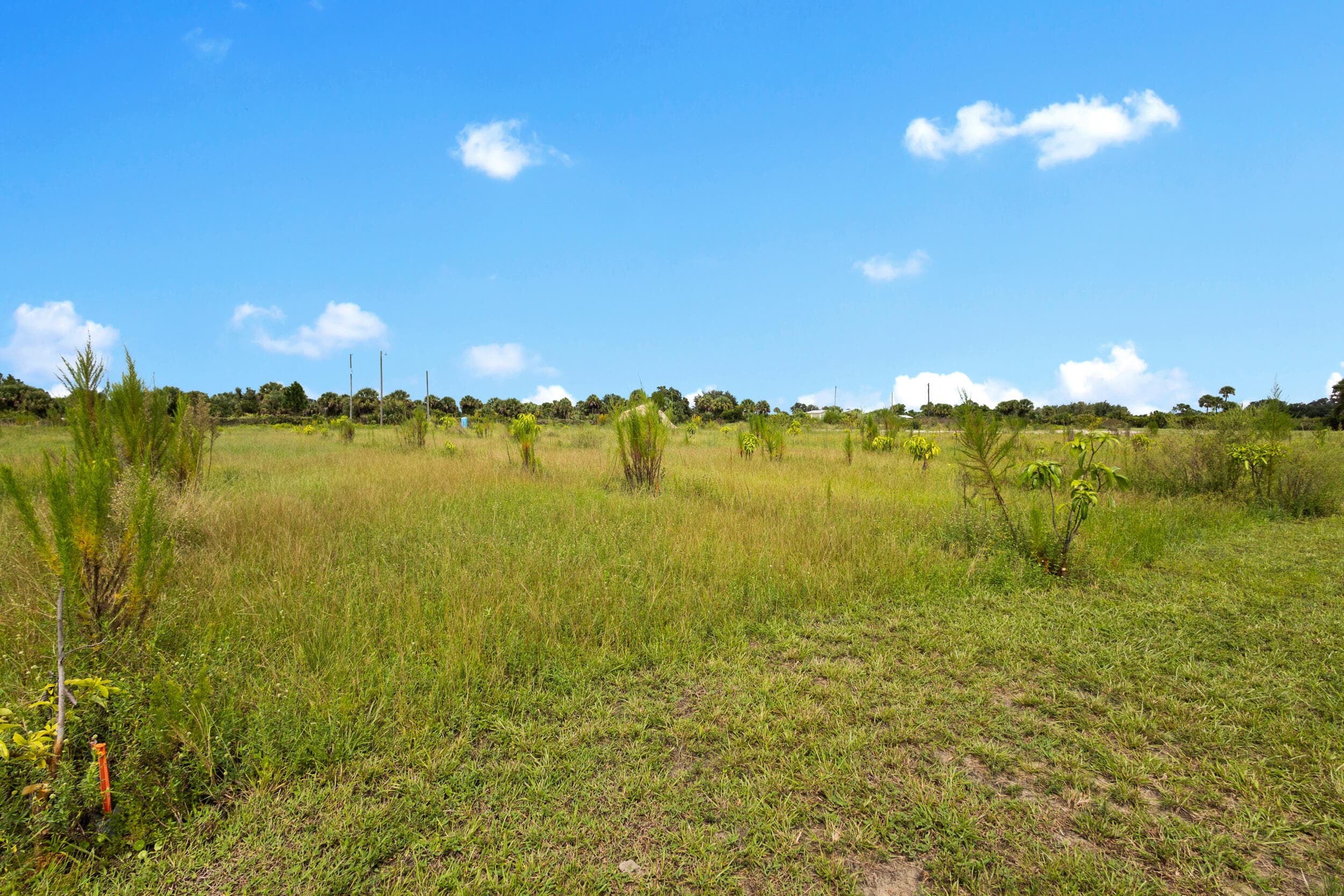 20914 NW 280th Street, Okeechobee, FL 34972 11