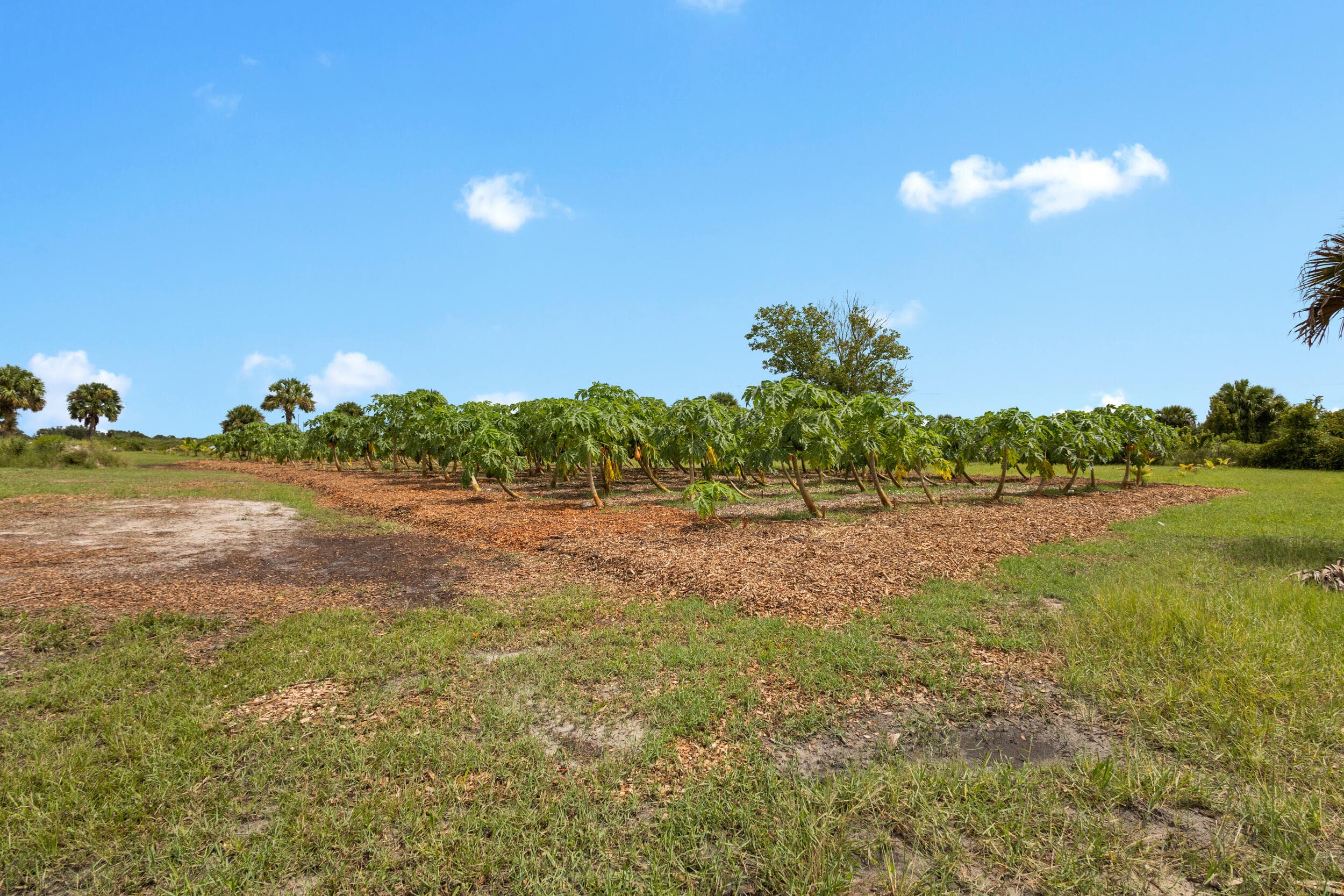 20914 NW 280th Street, Okeechobee, FL 34972 16