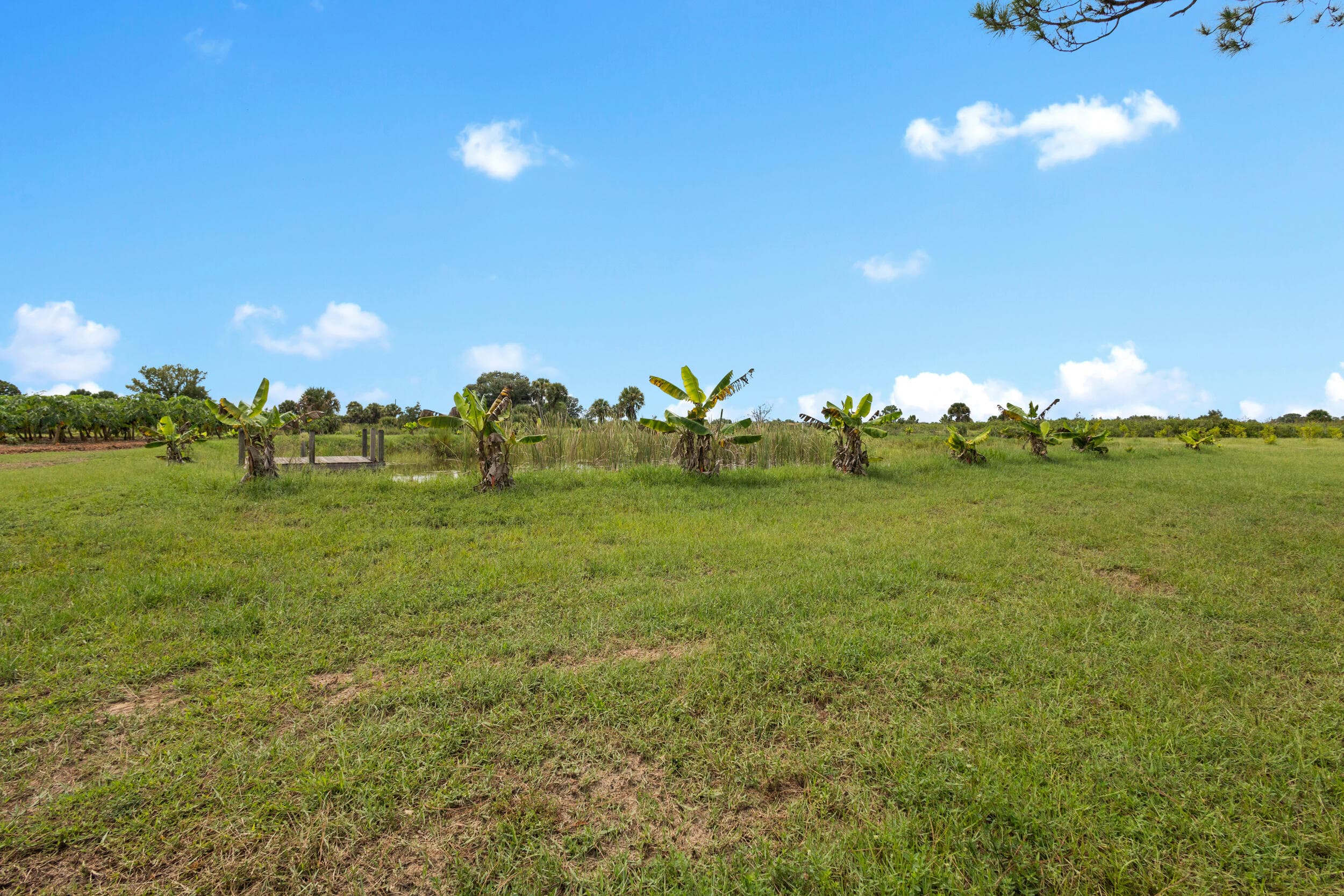 20914 NW 280th Street, Okeechobee, FL 34972 19
