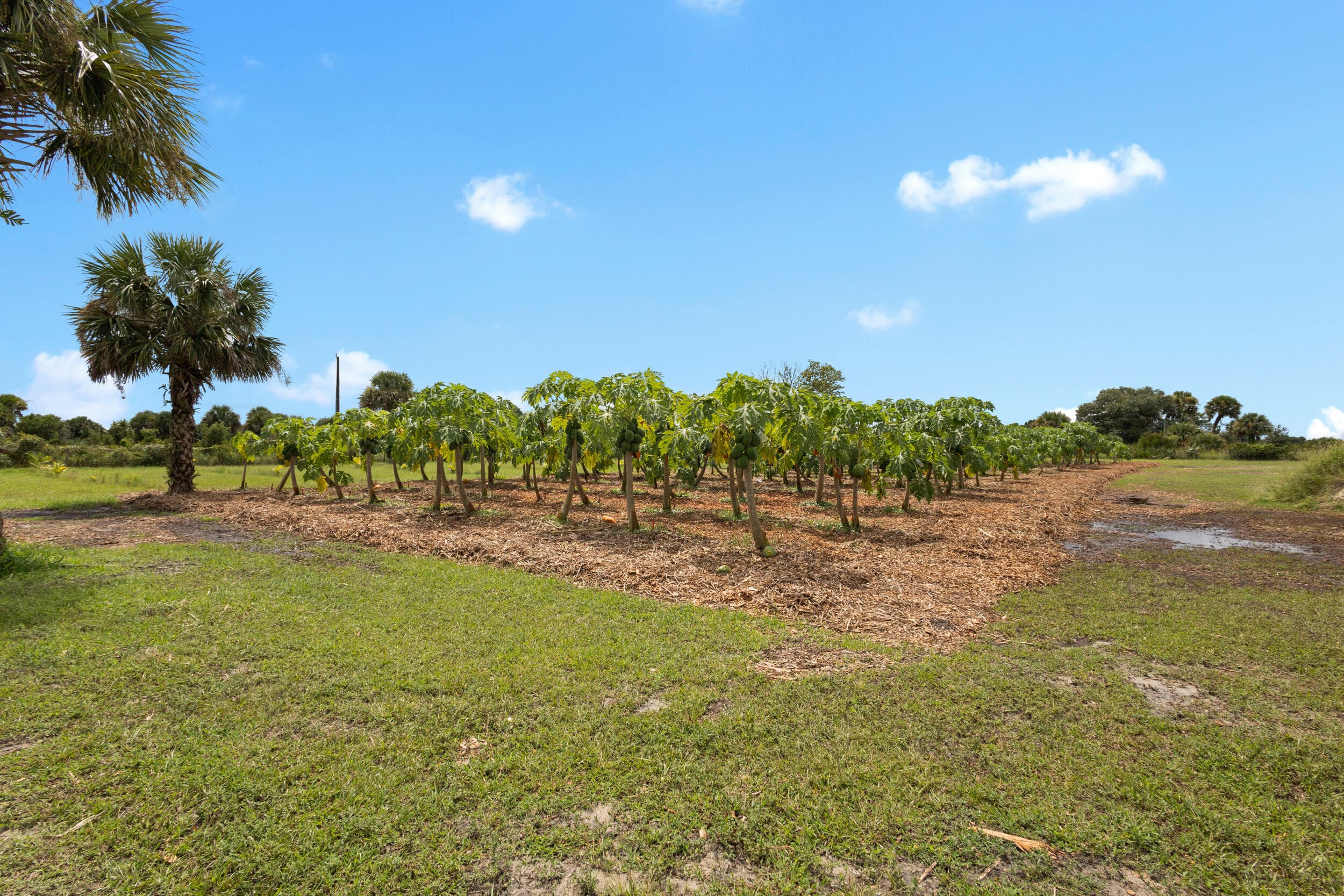 20914 NW 280th Street, Okeechobee, FL 34972 22